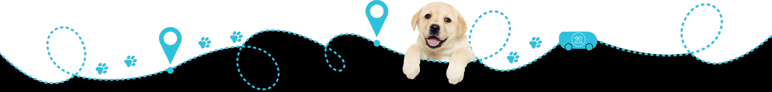pet footer